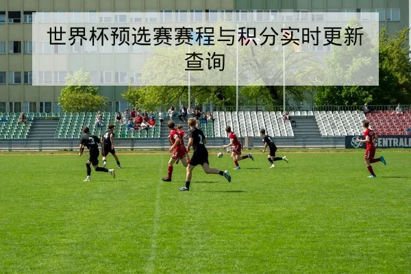 世界杯参赛队球员伤病名单与复出进展